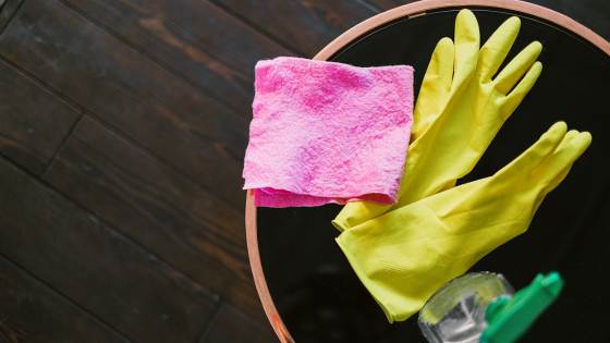 Mold is a danger that can sneak up on any homeowner. Here's how you can make your home mold-free.